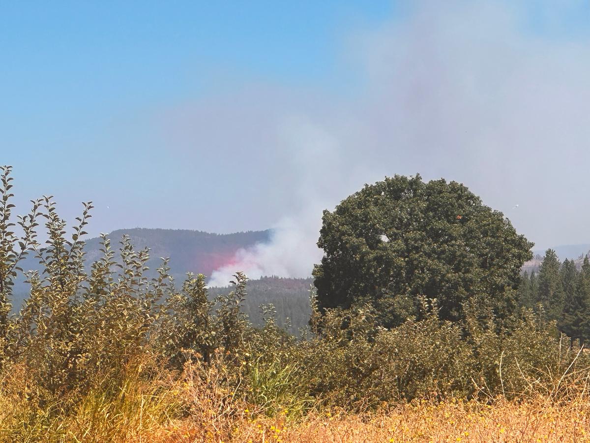 Fire Near Lake Tahoe Grows to 3 Square Miles, Forces Evacuations