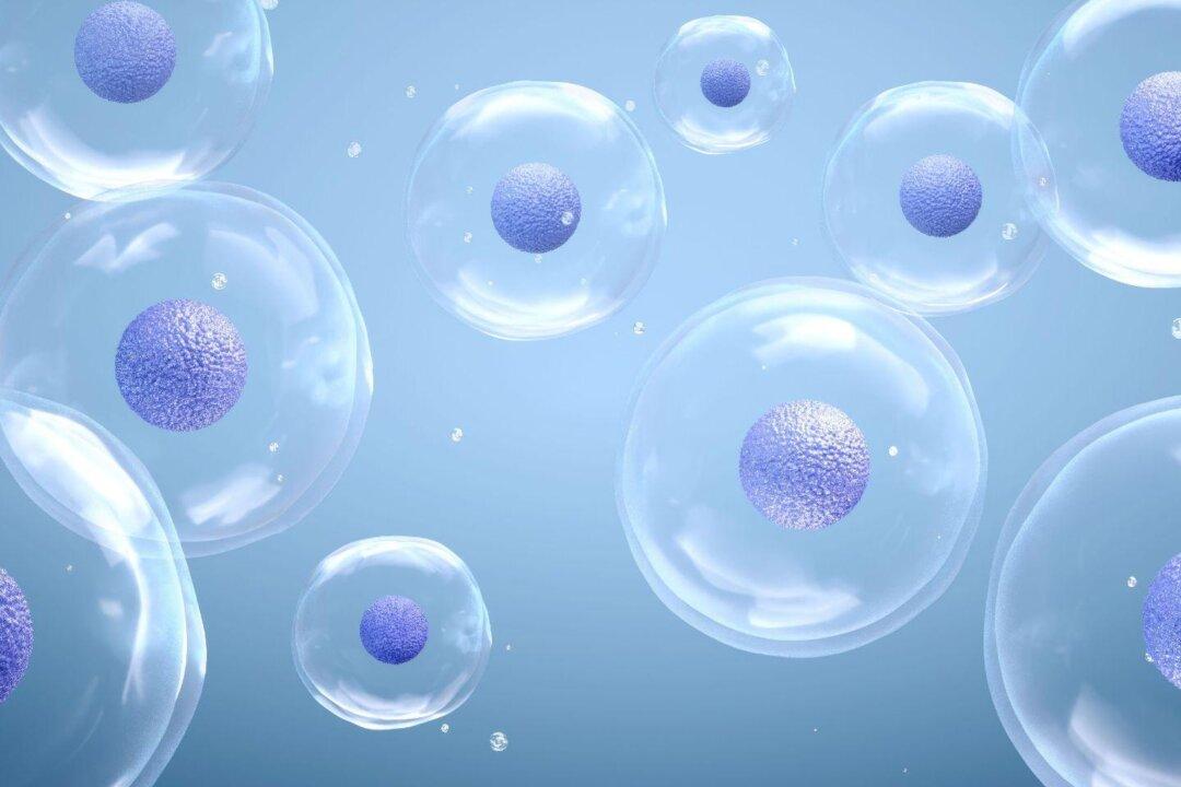 New Hope for Incurable Conditions: Breakthroughs in Stem Cell and Exosome Therapy