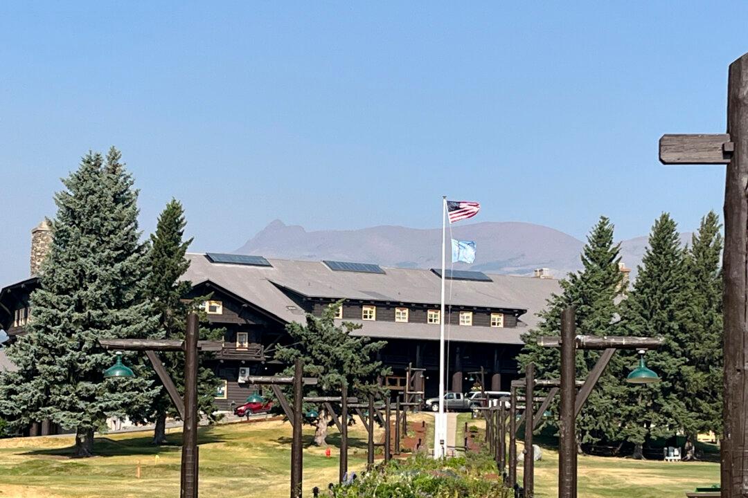 A Lodge That Resembles an Indoor Forest