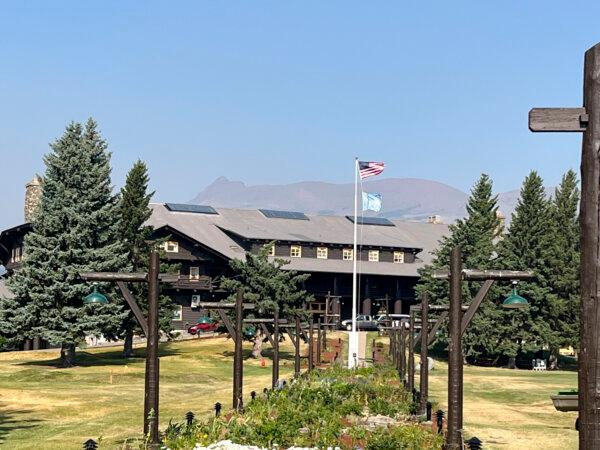 Towering Timbers: A Lodge That Resembles an Indoor Forest