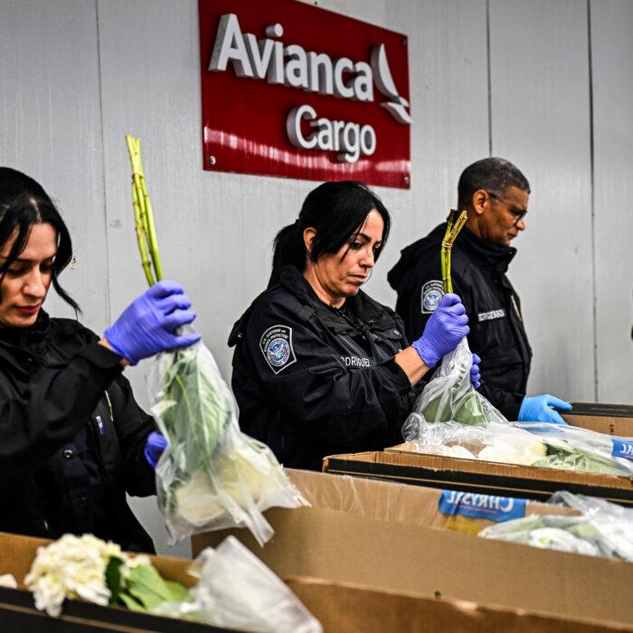 US Agency Agrees to $45 Million Settlement After Alleged Discrimination Against Pregnant Workers