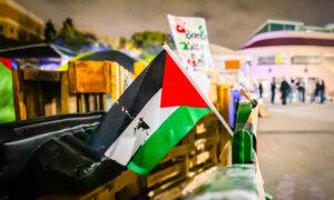 Illinois Federal Judge Upholds Restricted March Route for Gaza Protests During DNC