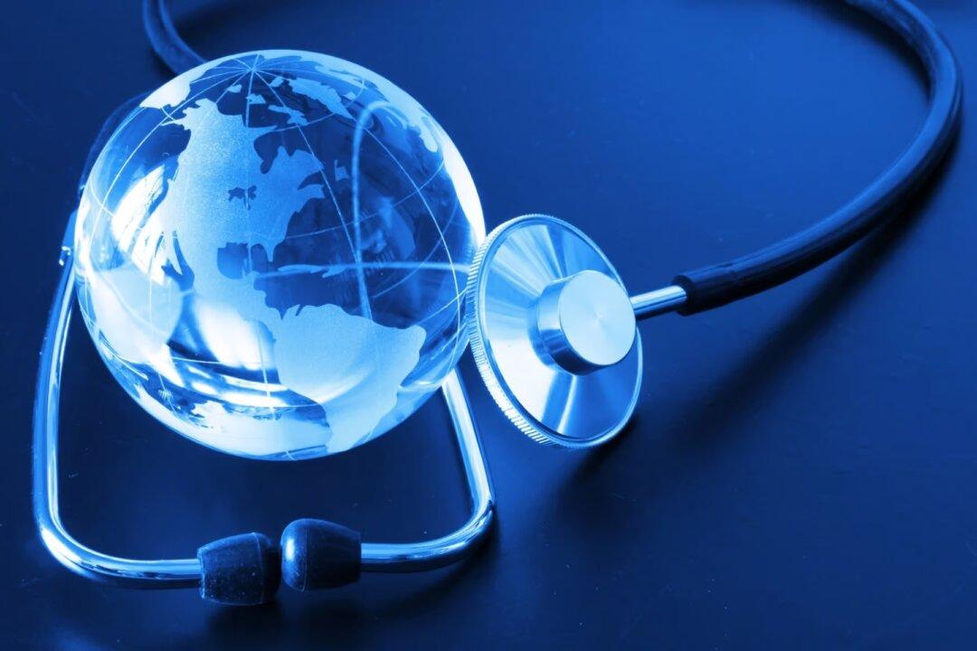 Questions About New Amendments to the 2024 IHRs