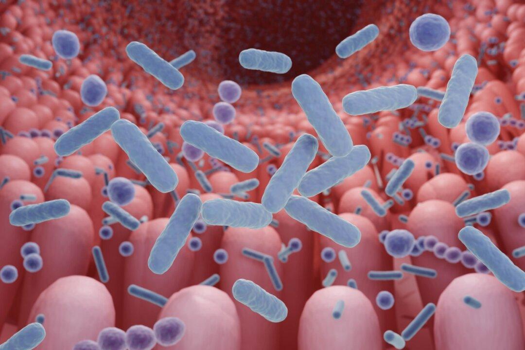 Pollutants Can Harm Gut Health, Lead to Metabolic Disorders