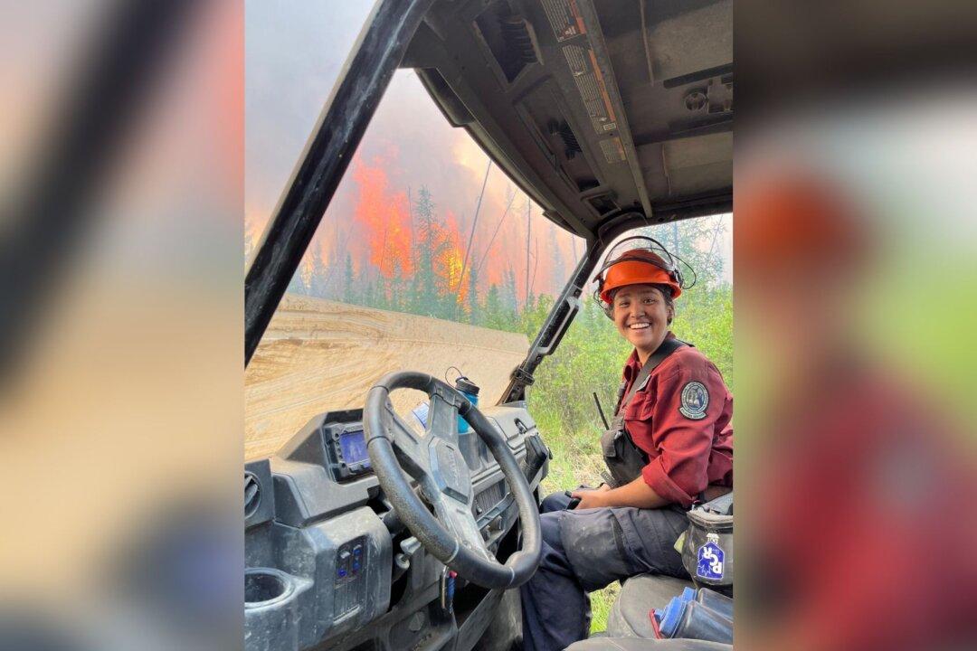 BC Workers’ Agency Says Tree Was Identified as a Danger Before Firefighter’s Death