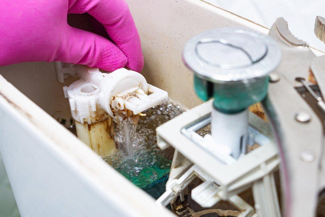 Many Simple Repairs for Toilets