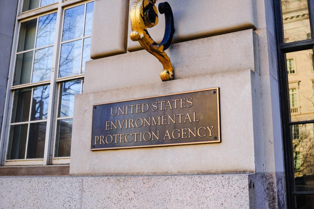 Federal Appeals Court Rules Against EPA Fuel Program Restrictions