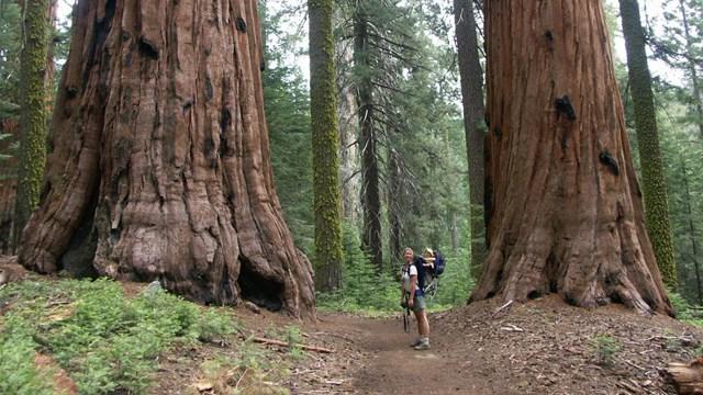 California Firefighters Battle Coffee Pot Fire in Sequoia National Park