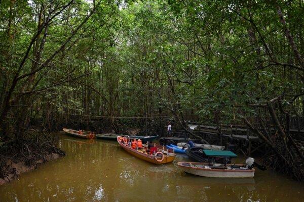 This picture taken on Aug. 13, 2022, shows people visiting a mangrove forest in Balikpapan, East Kalimantan. (ADEK BERRY/AFP via Getty Images)