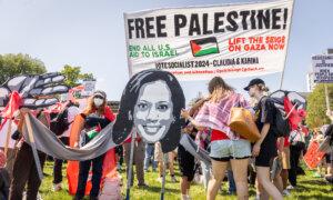 Pro-Palestinian Protesters Demonstrate Outside DNC