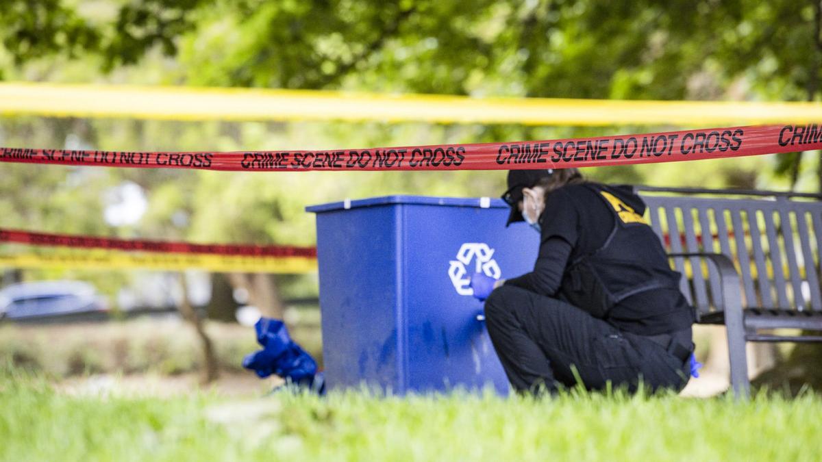 Suspect Charged With Murder and Animal Cruelty in Fatal Carjacking of 80-Year-Old Dog Walker