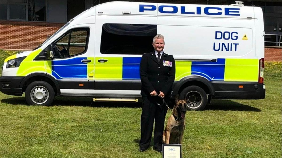 Emaciated, Abandoned Dog Tied to Road Sign Gets Second Chance at Life as Police Dog