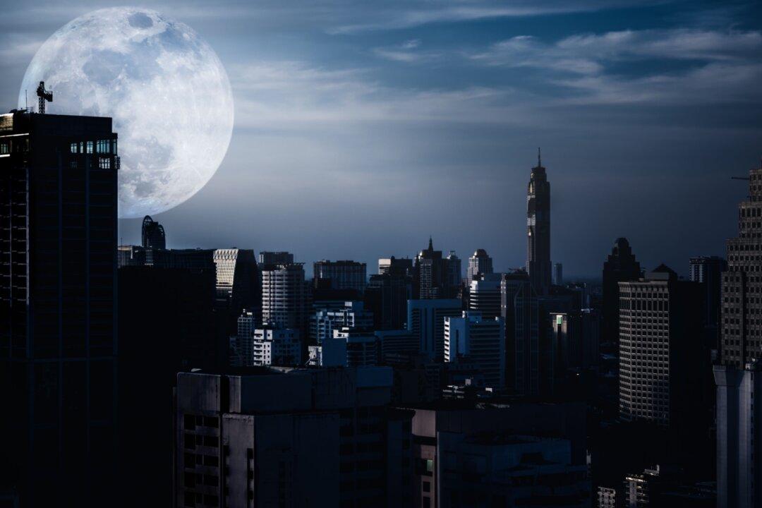 What Is Really Going On at Federal Agencies?