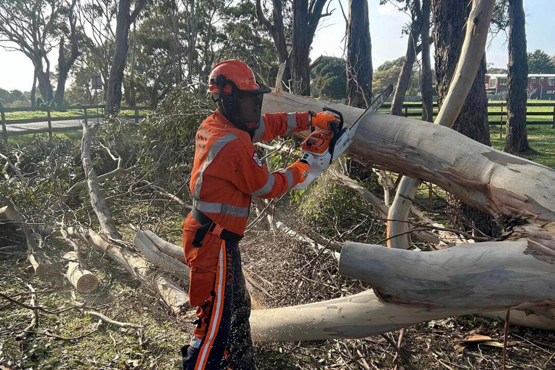 1 Dead as Winds Batter Australia’s East Coast