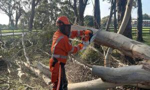 1 Dead as Winds Batter Australia’s East Coast