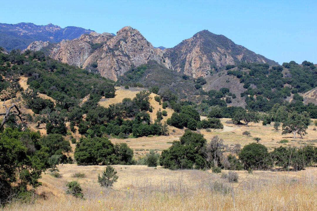 Boy Attacked by Mountain Lion at Malibu Creek State Park in Calabasas