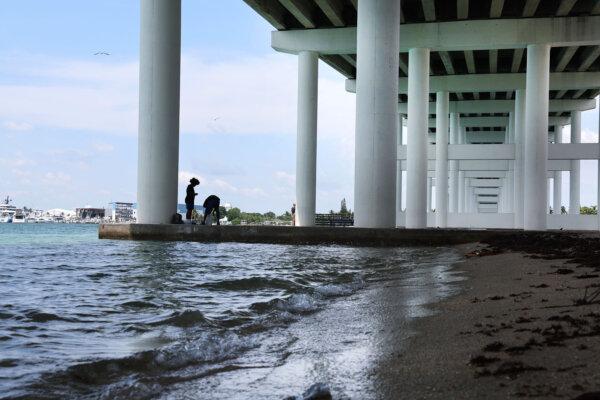 Under the Blue Heron Bridge at Phil Foster Park in Riviera Beach on Aug. 7, 2024. (Carline Jean/South Florida Sun Sentinel/TNS)