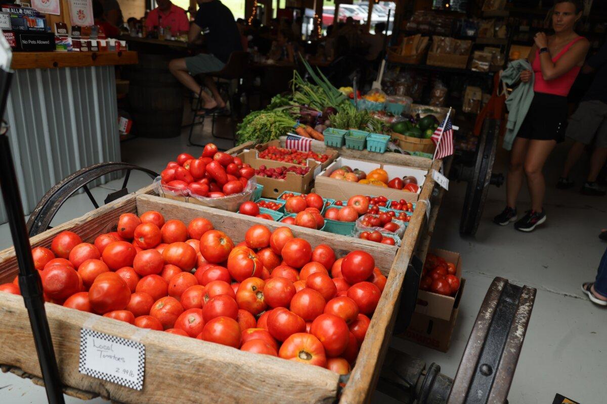 Peach picking season at Penning’s Farm, which includes an orchard, farm to table food, and market, in Warwick, N.Y., on Aug. 4, 2024. (Benny Zhang/The Epoch Times)