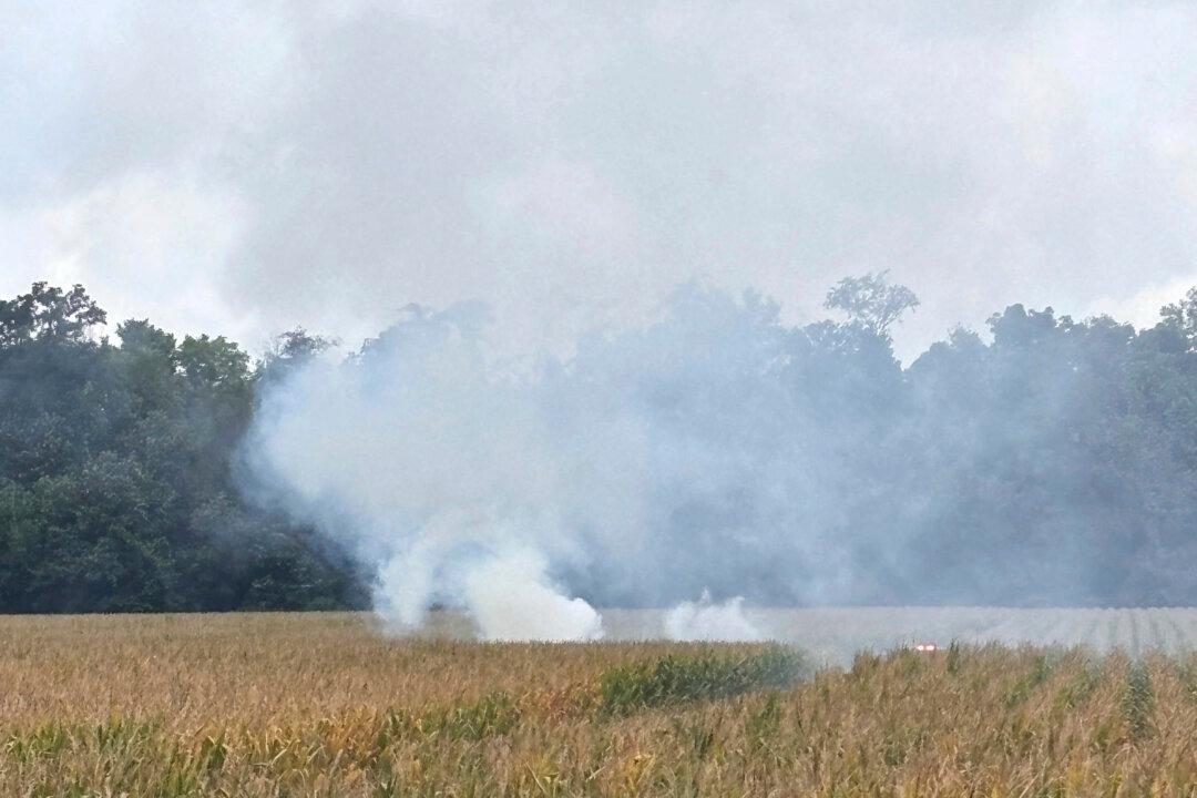 Small Plane From Iowa Crashes in Indiana Cornfield, Killing Everyone Onboard