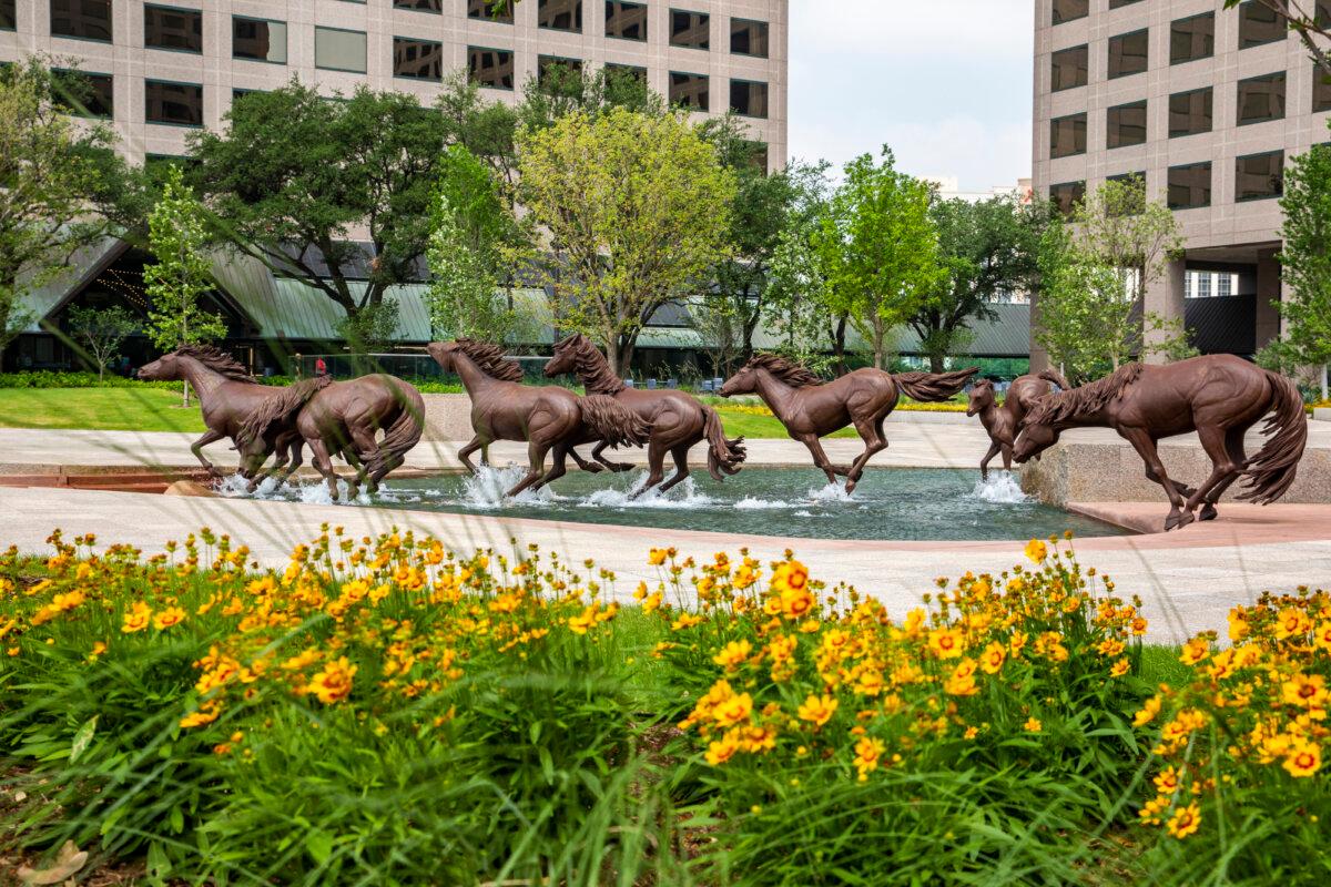 Some elements of Robert Glen's sculpture. Glen created each bronze mustang from life. On the right, an old mustang tentatively approaches the water, as a young horse in the background leaps in and follows the herd. (David Lloyd/SWA)