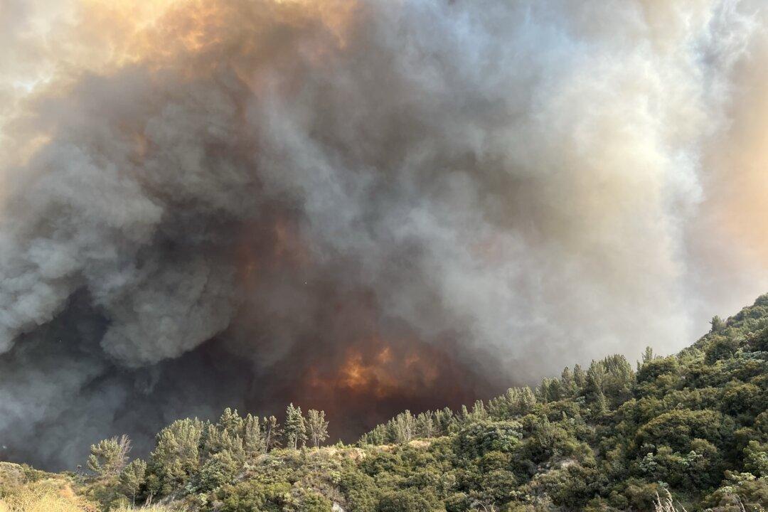 Newsom Declares State of Emergency Over San Bernardino Fire