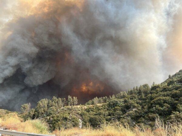 The Line fire in San Bernardino County, Calif., had grown to 41 square miles on Sept. 10, 2024. (U.S. Forest Service)