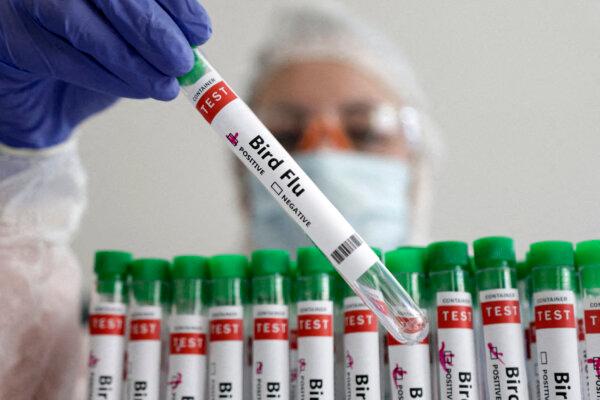 A person holds a test tube labeled 'Bird Flu,' on Jan. 14, 2023. (Dado Ruvic/Reuters)