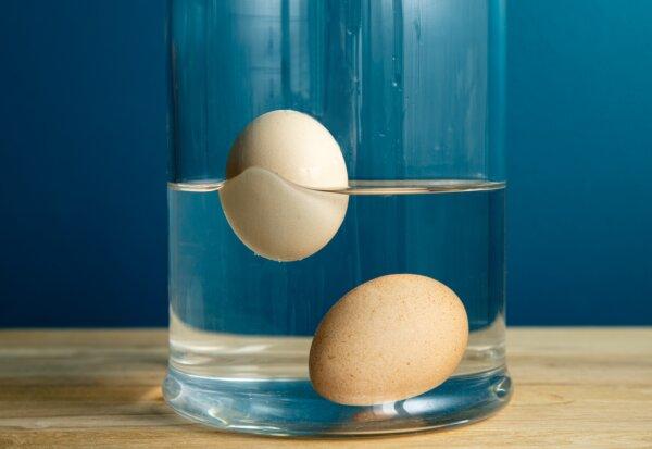 The older the egg, the higher it will float in water. (FotoHelin/Shutterstock)