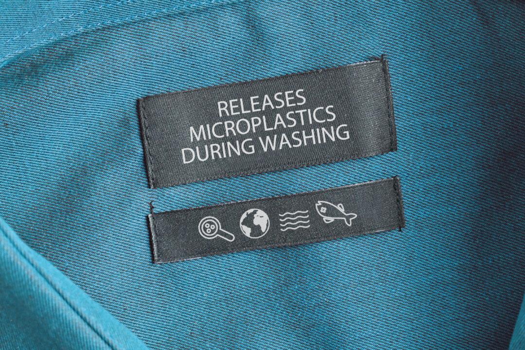 Microplastics Found in Human Brain for the 1st Time