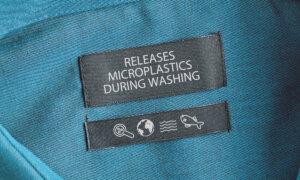 Microplastics Found in Human Brain for the 1st Time