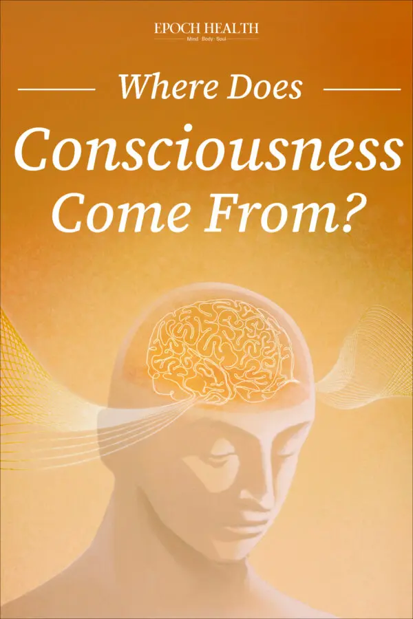 Where Does Consciousness Come From?
