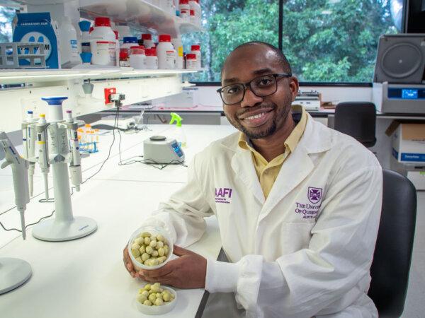 Dr. Oladipupo Adiamo holding container of Kakuda plums in the Laboratory at the University of Queensland. (Megan Pope/University of Queensland)