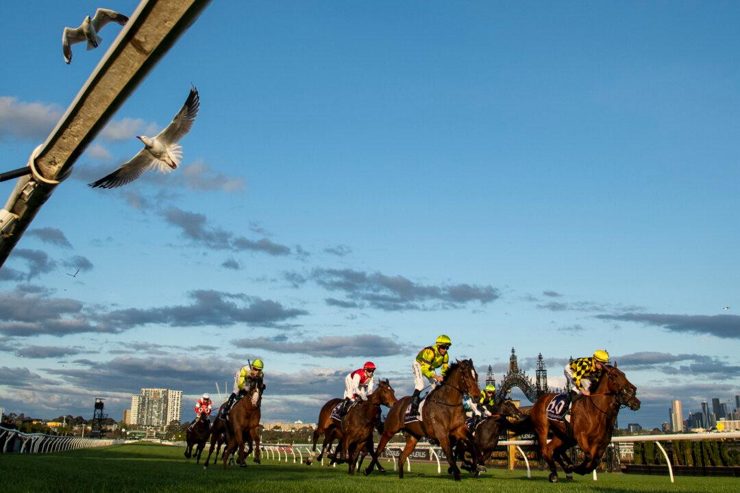 New Figures for Racehorse Deaths Released as Australia Prepares for the Melbourne Cup