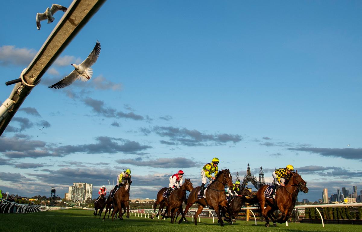New Figures for Racehorse Deaths Released as Australia Prepares for the Melbourne Cup