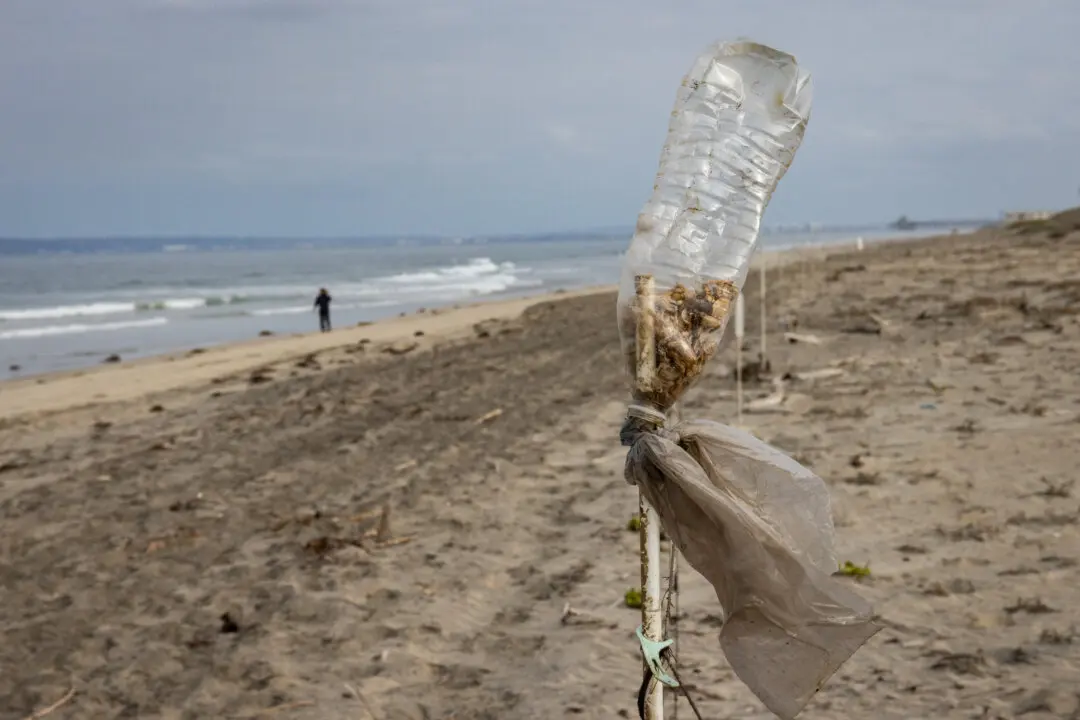 US, Mexico Reach Agreement to Fix Tijuana River Sewage Crisis: EPA