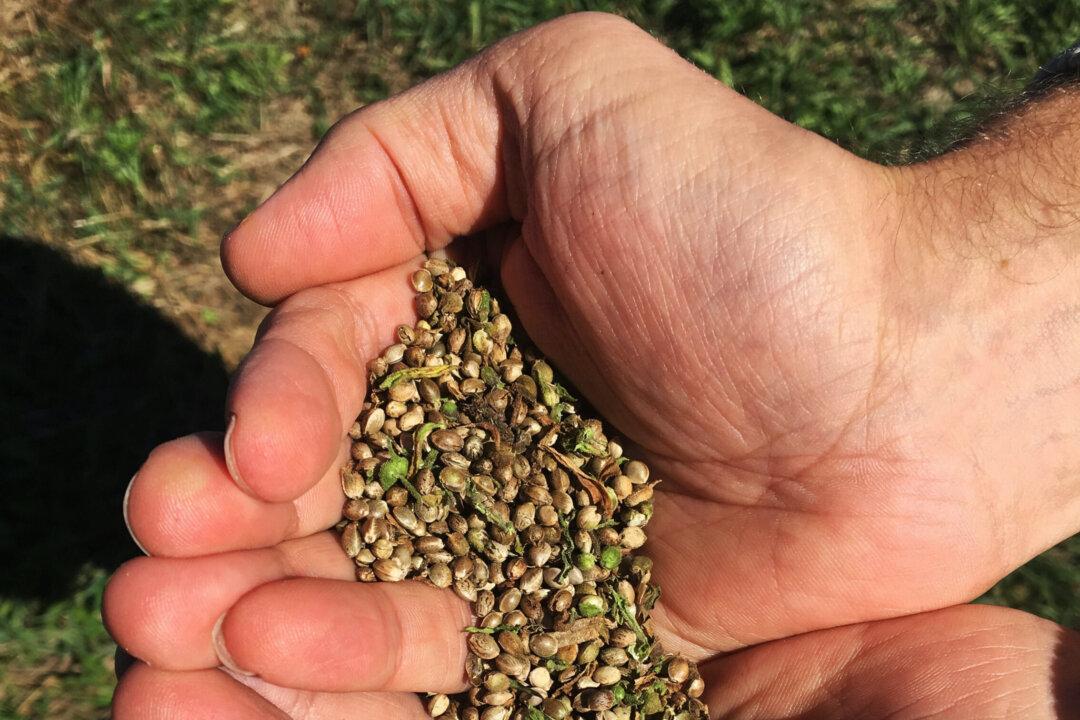 California Bans Hemp Products With THC, Adds Age Limit for Buyers