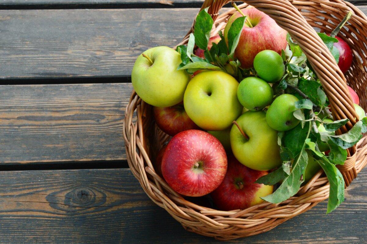 (PosiNote/Shutterstock)