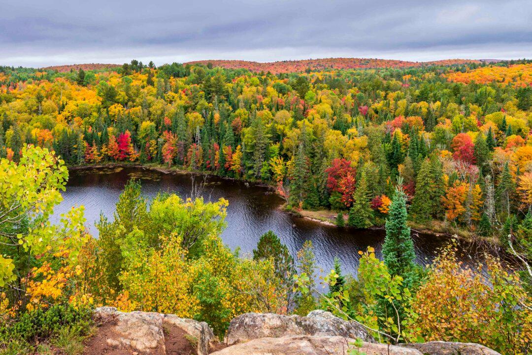Prime Spots to Catch the Fall Colours in Ontario