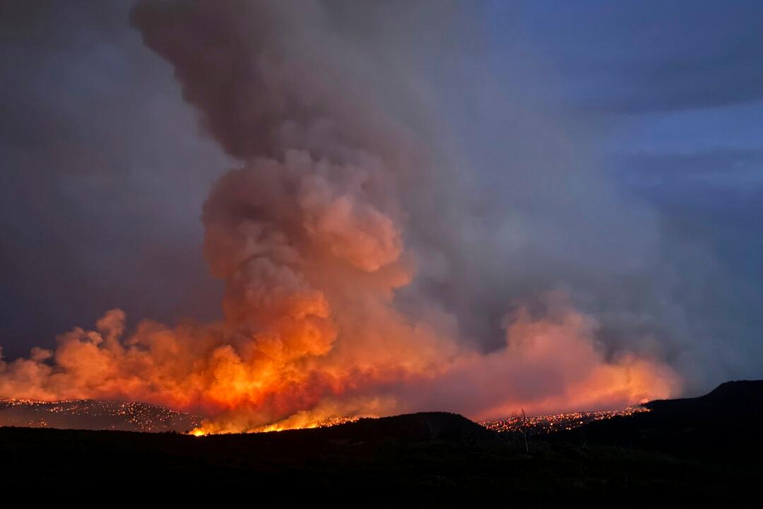 Man Trying to Cremate His Dog Sparked Wildfire in Colorado, Authorities Say