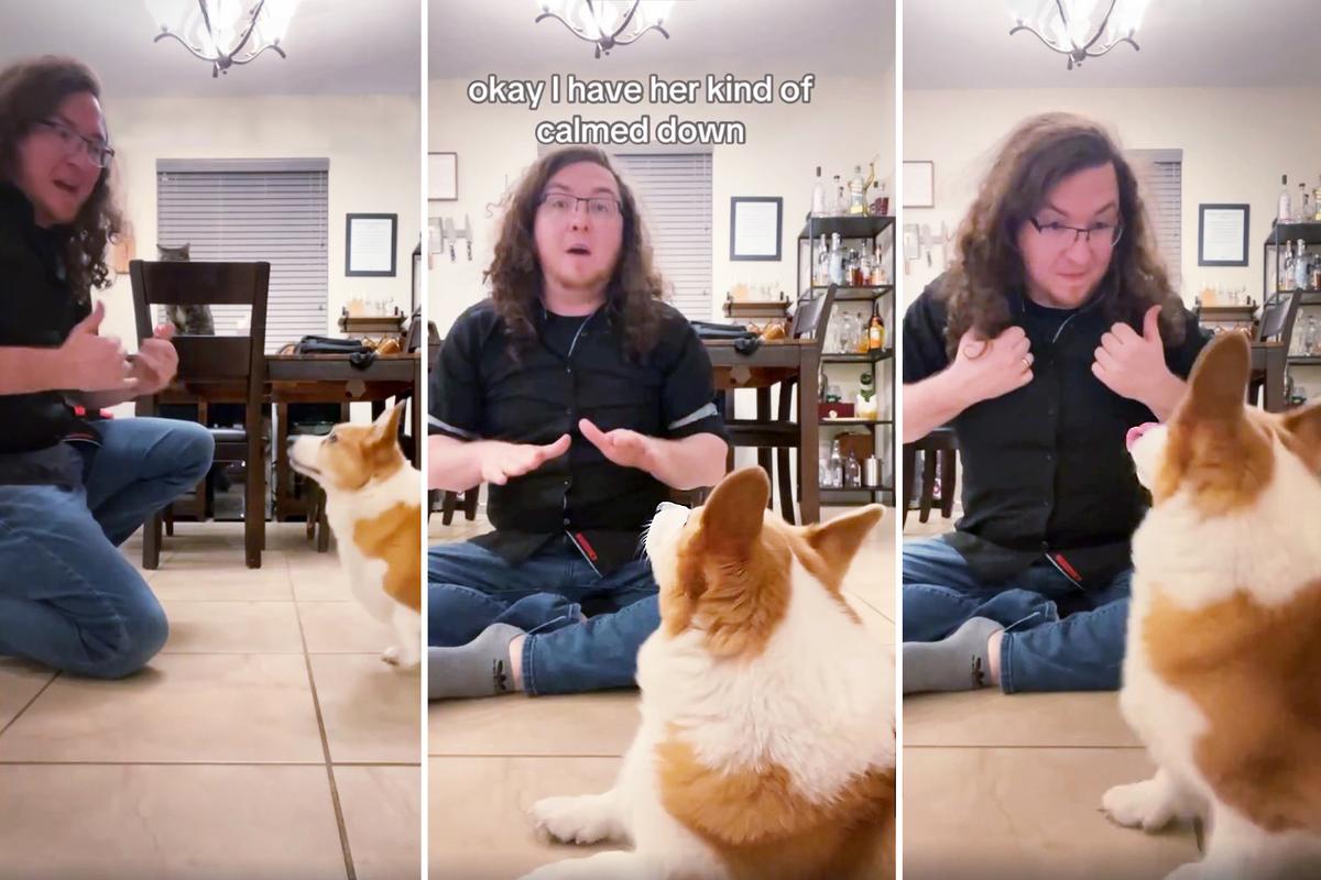 Deaf Wife and Husband Sign at Home, and Hilarious Corgi Dog Soon Understands ‘Bath,’ ‘Dinner’