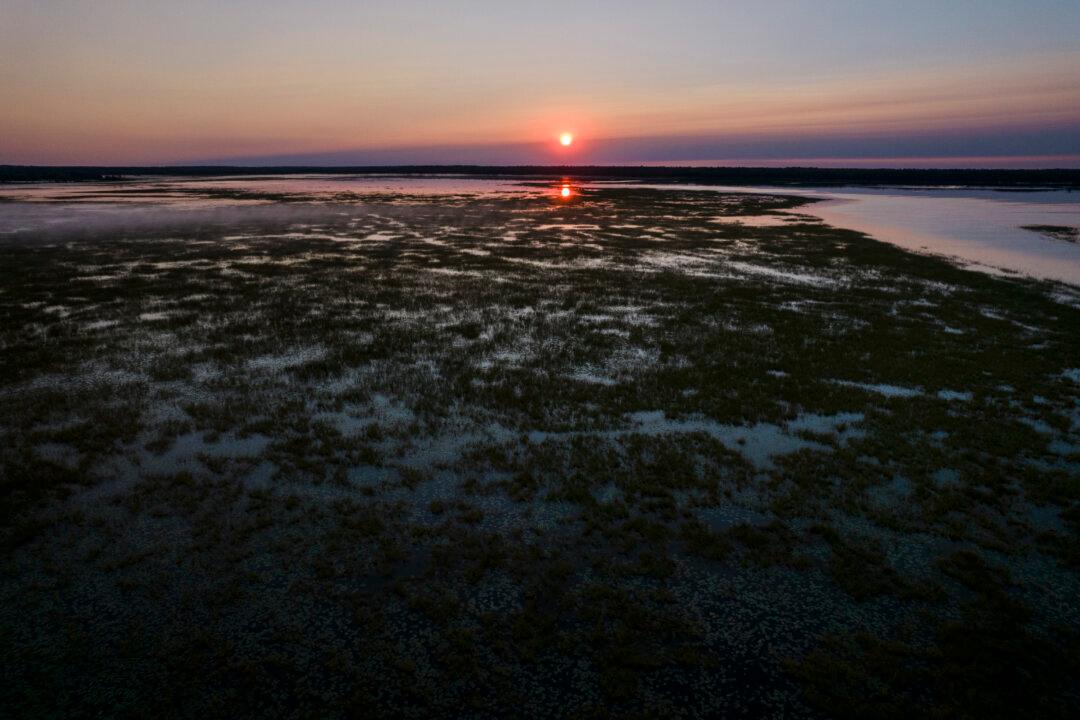 Interior Department Approves Funding to Conserve 190,000 Acres of Critical Wetland
