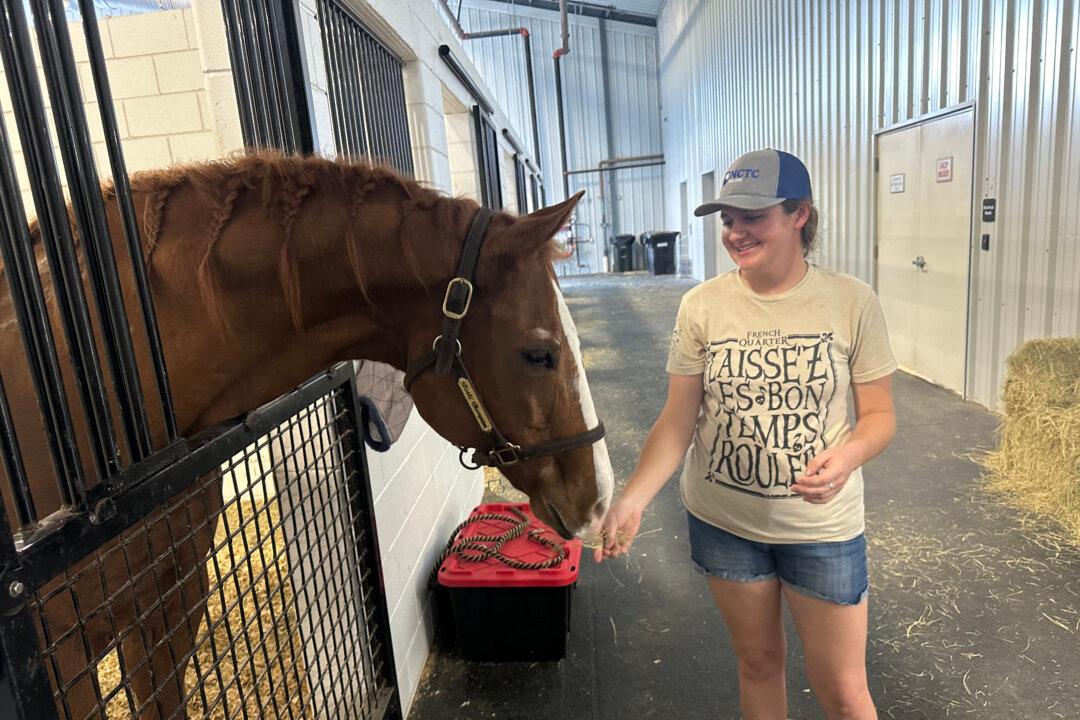 Evacuating With Pets: How to Be Ready for the Next Disaster Threat