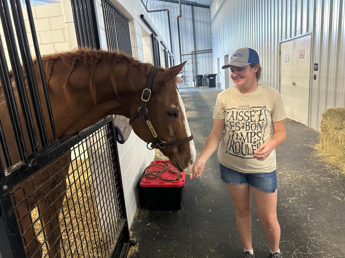 Evacuating With Pets: How to Be Ready for the Next Disaster Threat