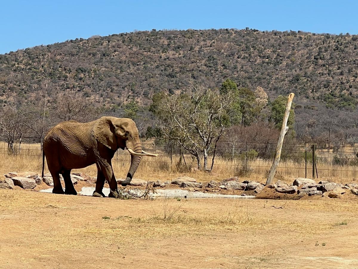 (エリザベス・マーガレット・ステイン財団提供)