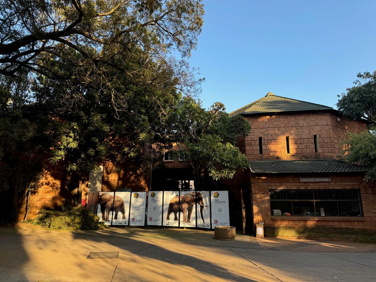 動物園のドゥマの囲い。(エリザベス・マーガレット・ステイン財団提供)