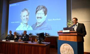 Nobel Prize for Medicine Goes to US Duo Who Discovered MicroRNA