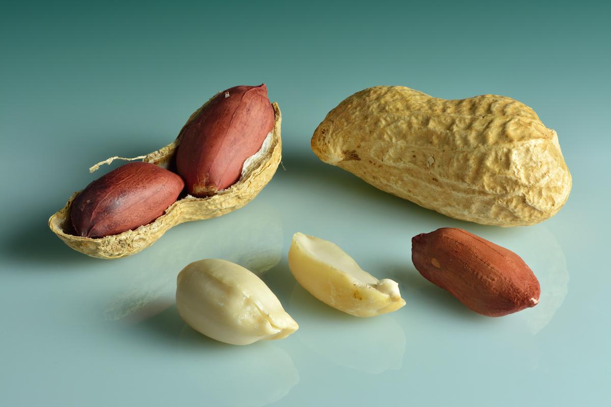 Peanuts in shell, shell cracked open, seed shelled, halved and peeled. (<a href="https://commons.wikimedia.org/wiki/User:Iifar" target="_blank" rel="nofollow noopener">Ivar Leidus</a>/<a href="https://en.wikipedia.org/wiki/Peanut#/media/File:Peanuts_(Arachis_hypogaea)_-_in_shell,_shell_cracked_open,_shelled,_peeled.jpg" target="_blank" rel="nofollow noopener">CC BY-SA 4.0</a>)