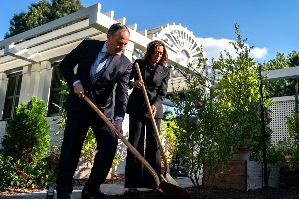 Second Gentleman Doug Emhoff and Vice President Kamala Harris plant a pomegranate tree at the vice president's residence at the U.S. Naval Observatory in Washington on Oct. 7, 2024. (Kent Nishimura/Getty Images)