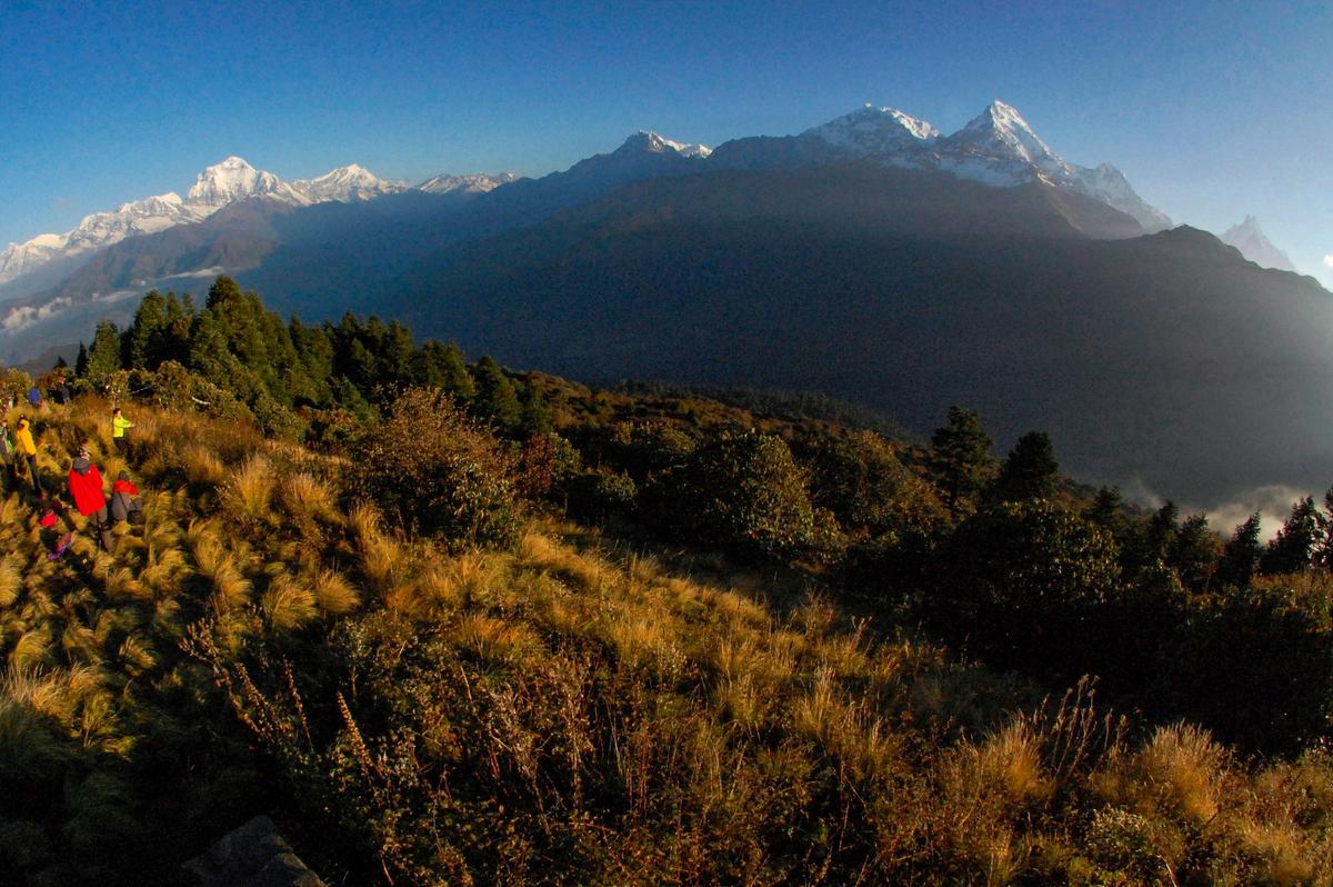 5 Russian Climbers Die in Fall on World’s 7th-Highest Peak