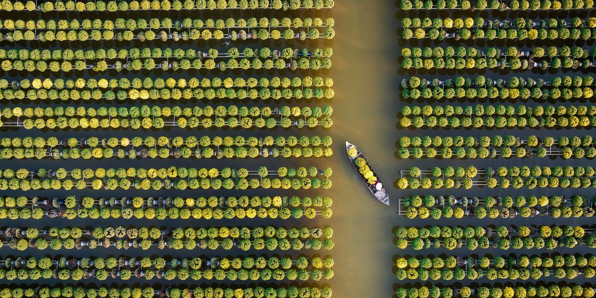 Photographer Tuan Nguyen Tan is the overall runner-up in the Open competition and winner of both the Open Built Environment category and the Epson Digital Art Prize. (© Tuan Nguyen Tan / The 15th Epson International Pano Awards via SWNS)